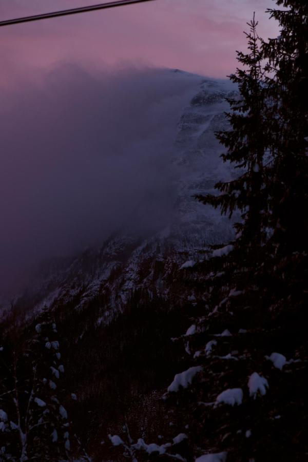 Fresh Familie Hytte Hemsedal Dış mekan fotoğraf