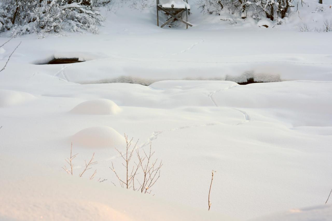 Fresh Familie Hytte Hemsedal Dış mekan fotoğraf