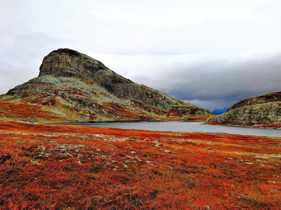 Fresh Familie Hytte Hemsedal Dış mekan fotoğraf