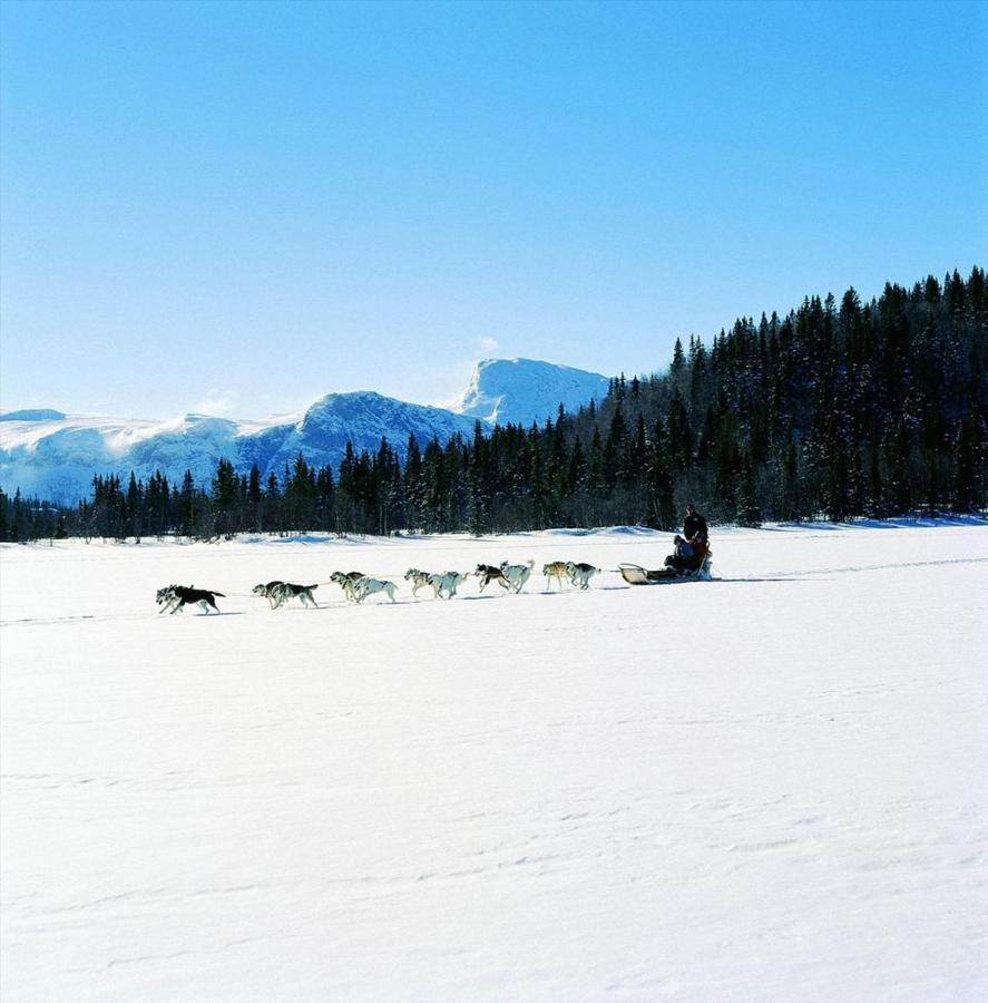 Fresh Familie Hytte Hemsedal Dış mekan fotoğraf